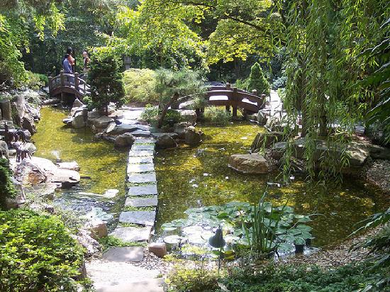 japanese-garden3.jpg