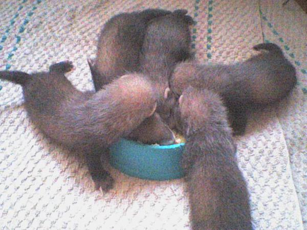Picture 182.jpg