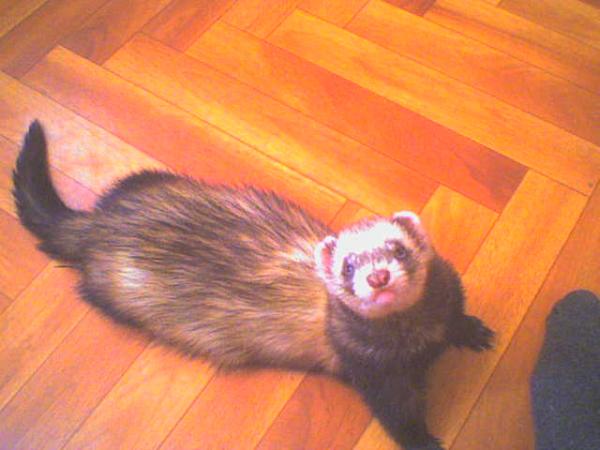 Picture 103.jpg
