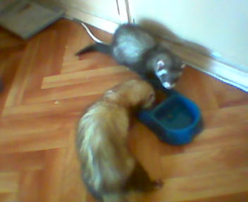 Picture 010.jpg