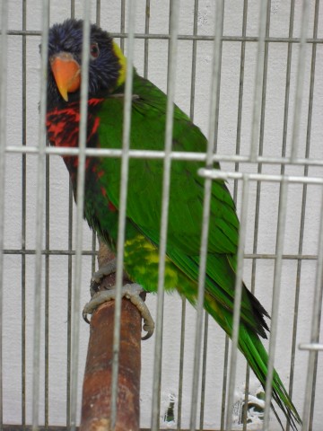 SAM_0469.JPG