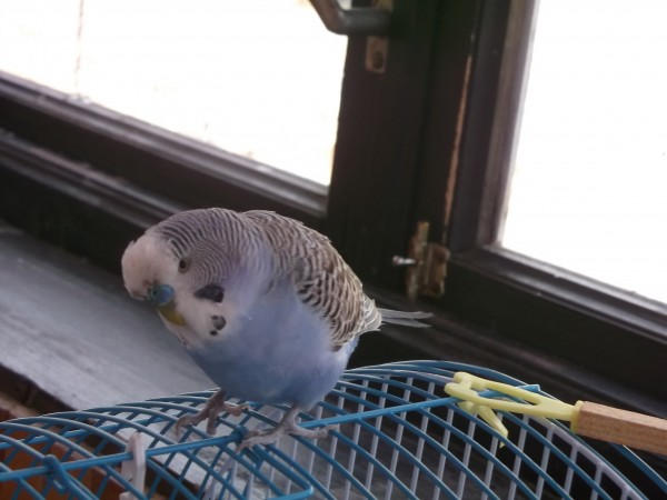 Picture 144.jpg