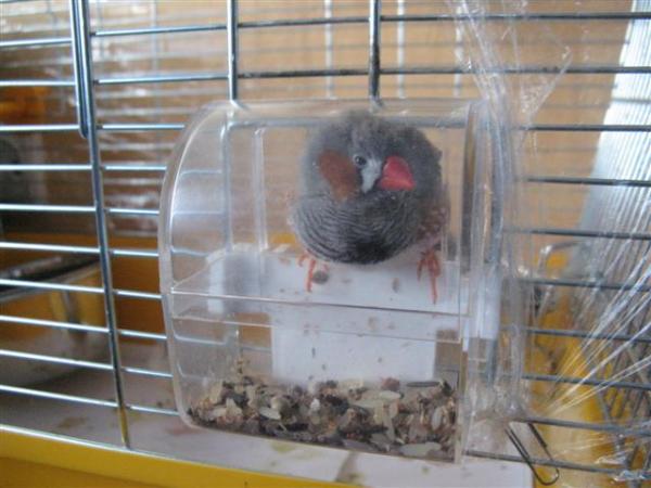 IMG_0696 (Small).jpg