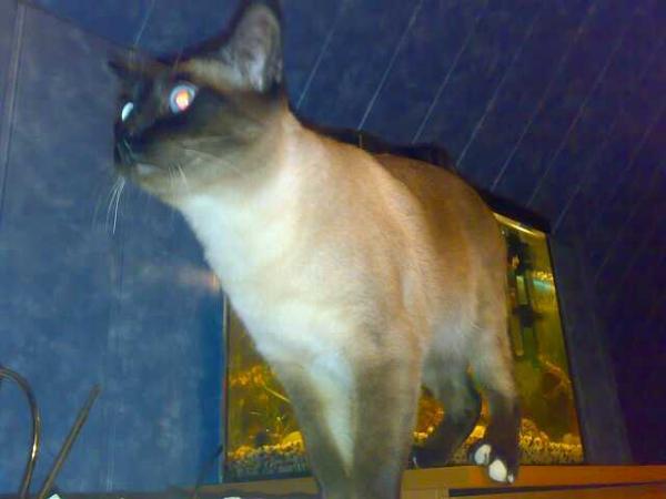 200811081122-sumažintas.jpg