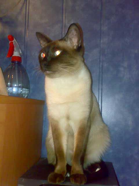 200811081117-sumažintas.jpg