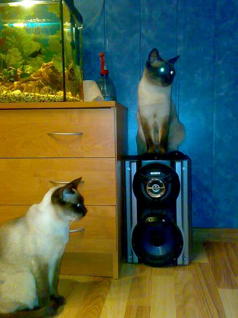200811081115-sumažintas.jpg